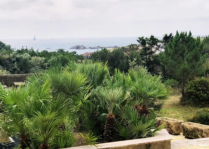 Angeli Appart hôtel