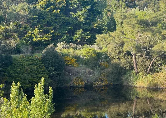 Angeli Appart hôtel Les Sables-dʼOlonne